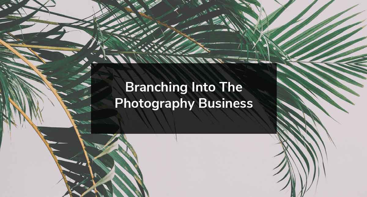 Branching into Photography: Growing your photography business